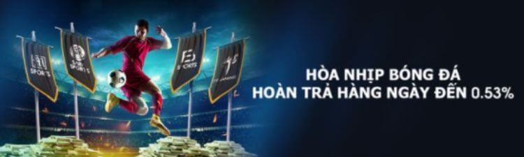 hoàn trả thể thao m88
